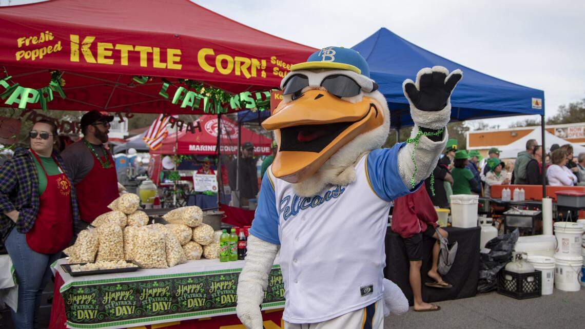 Myrtle Beach Pelicans are changing minor league levels and leagues. They have new rivals