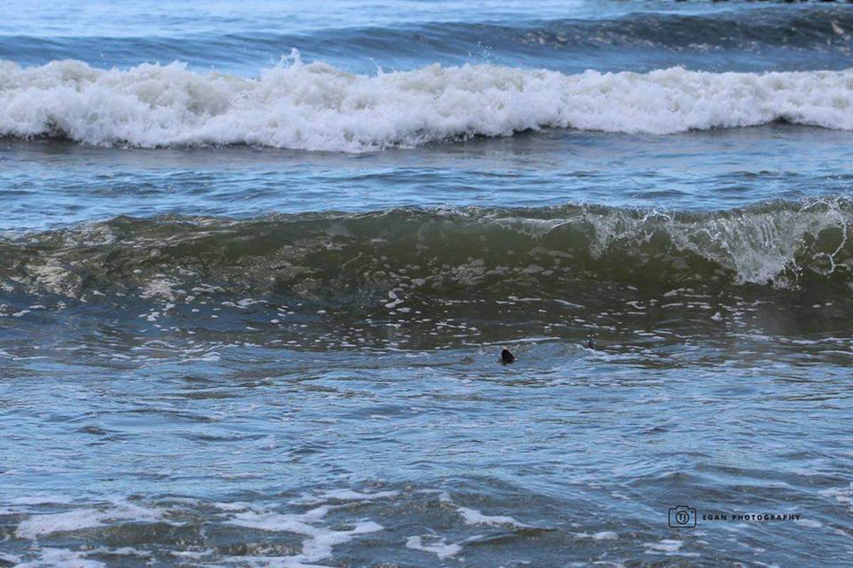 A shark is caught on camera a little north of Myrtle Beach State Park on Sunday morning.