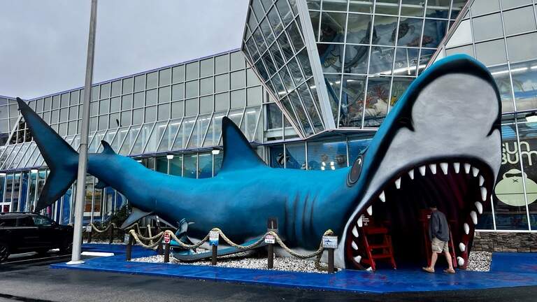 Giant sharks in Myrtle Beach. How one man started the building frenzy that you see today
