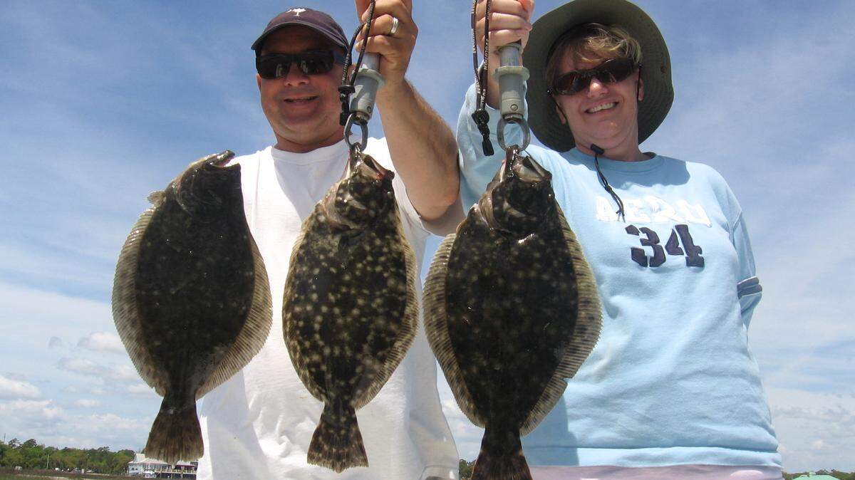 Flounder are increasing in numbers and size in local estuaries and inshore, marking the arrival of spring.