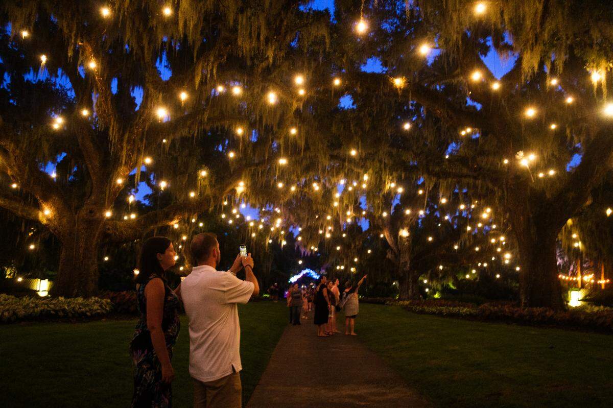 Visitors stroll through glowing art installations at Brookgreen Gardens. TSN July 16, 2025 File. 