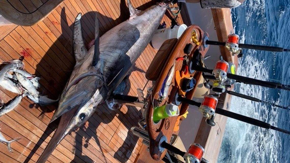 Seeking billfish, a Pawleys Island crew caught a species rarely hooked off our coast