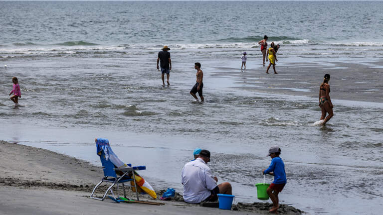 Horry County beaches battling bacteria near swimmers. The solution? Oyster shells