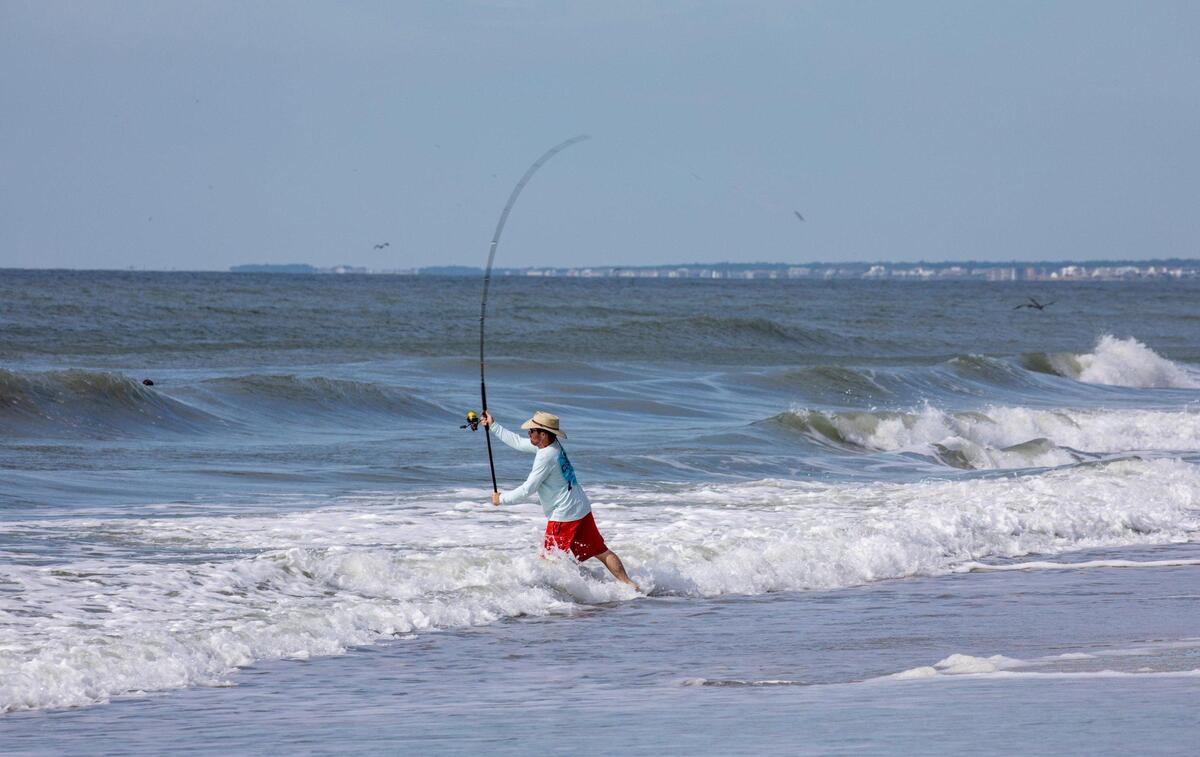A surf fisherman cast his line at Huntington Beach State Park in Murrells Inlet, S.C. Fishing locations along the Grand Strand. File. July 14, 2022.