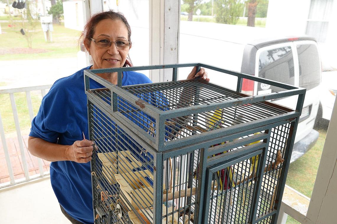 Lissette Gomez has plans to leave ahead of the hurricane but also has plans to take care of her pets including a careful of parakeets, one as old as ten. Residents of Myrtle Beach, S.C. took different tacks on Thursday, September 13, 2018, as they waited for Hurricane Florence to make landfall. Some walked down to the beach and were prepared to stick it out while others were planning to leave before Florence’s arrival.