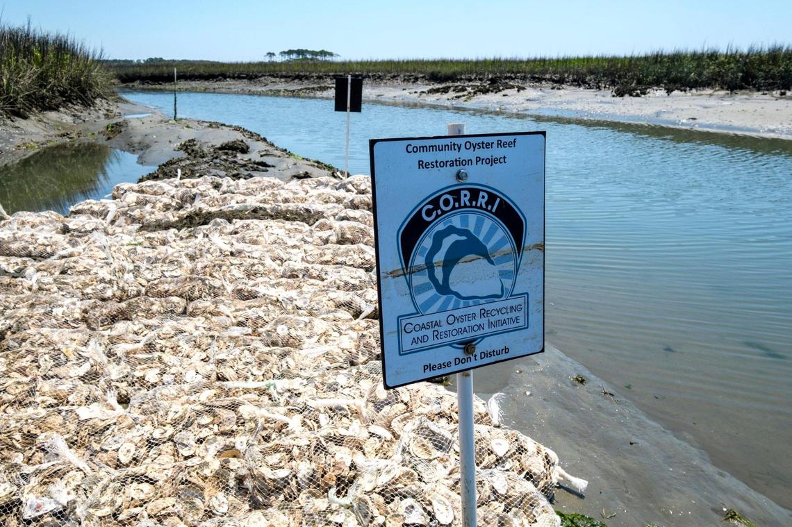 A sign for the Coastal Oyster Recycling and Restoration Initiative on the banks of Hog Inlet. Volunteers placed bags of recycled oyster shells along the banks of Hog Inlet as part of an oyster reef restoration project on Thursday. In partnership between Coastal Carolina University, local government agencies and the public, the oyster reefs are being rebuilt in hopes of improving water quality in the area and restoring marsh habitat. April 28, 2022.