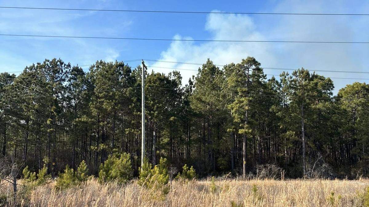 Horry County Fire Rescue responded to a 30-acre forest fire in Carolina Forest in the Myrtle Beach area on Saturday, Feb. 14, 2026.