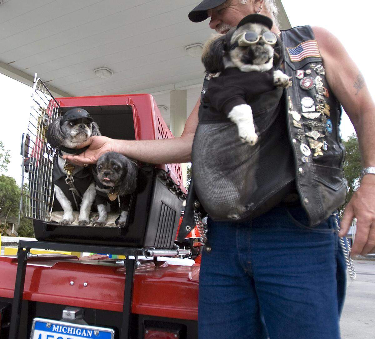 “Last time I came here, Myrtle Beach, I had Oliver. I had to put him down last year. Olive, here, is his granddaughter,” Don Shelton says of his three riding partners while stopping to refuel on Kings Highway in Myrtle Beach on Saturday, May 12, 2012. Shelton said he switches off which dog rides on his chest and which two ride in the carrier. On Saturday, it’s Molly’s turn on his chest with Olive (left) and Missy in the carrier. Shelton and his partners rode down from Lewiston, Michigan. Photo by Janet Blackmon Morgan / jblackmon@thesunnews.com