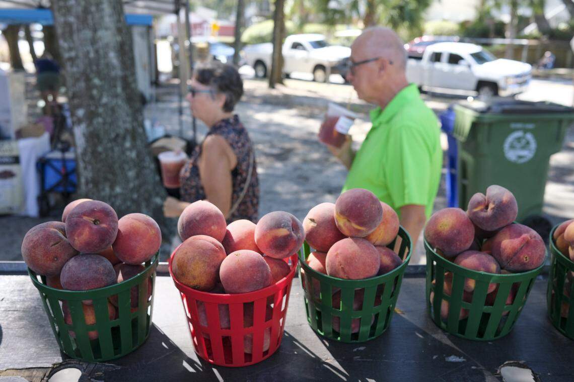 Customers shop the Surfside Beach Farmers market on Tuesday. July 18, 2024.