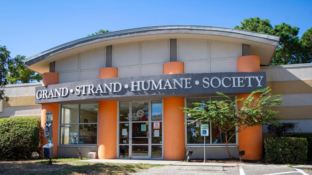 The Grand Strand Humane Society in Myrtle Beach.