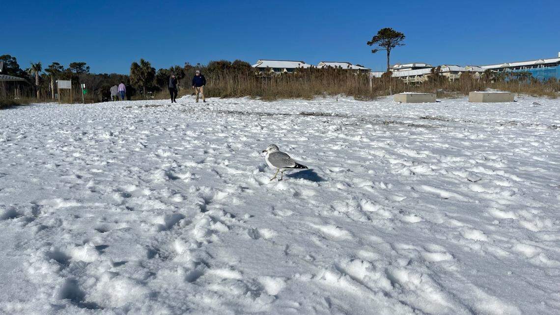 Didn’t get to enjoy snow on the beach in Hilton Head area? You still may have a chance