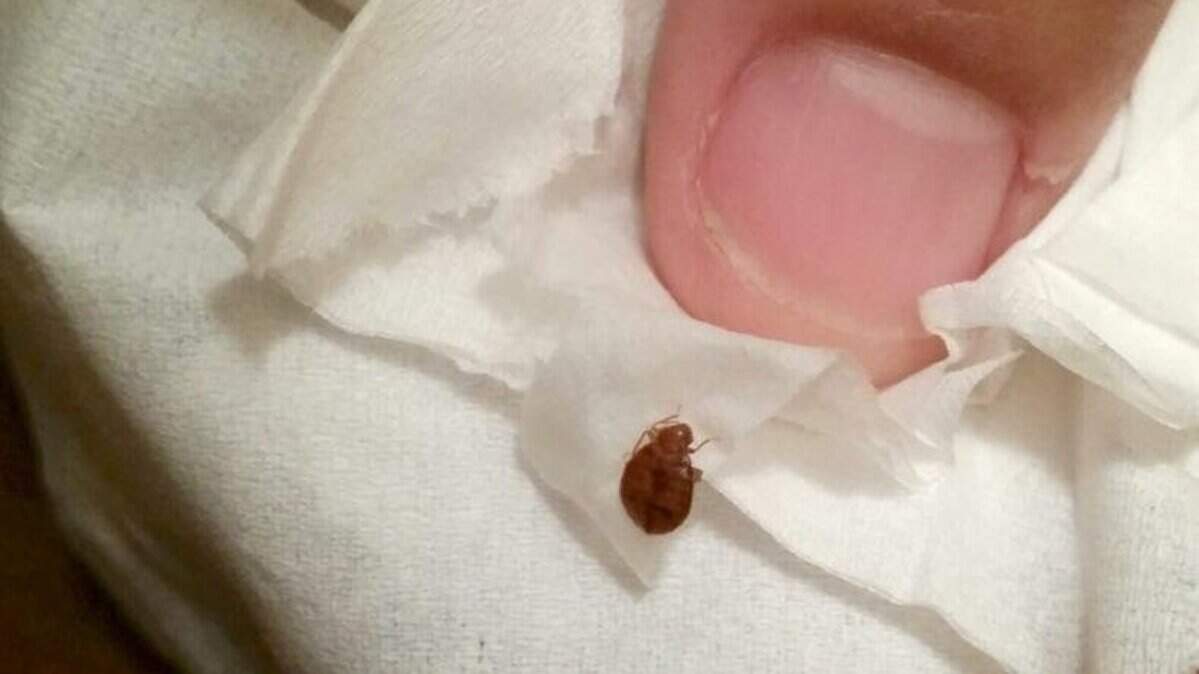Virginia residents claim in lawsuit that a Myrtle Beach timeshare was infested with bed bugs, ruining their vacation.