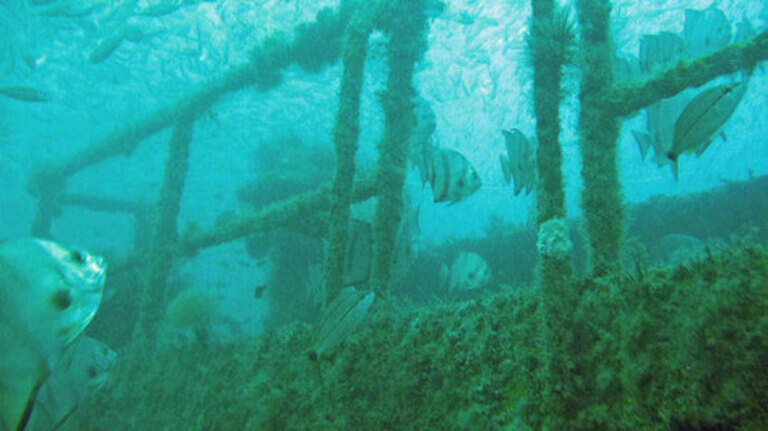 Pieces of history: Shipwrecks, NY subway cars off Myrtle Beach area beaches