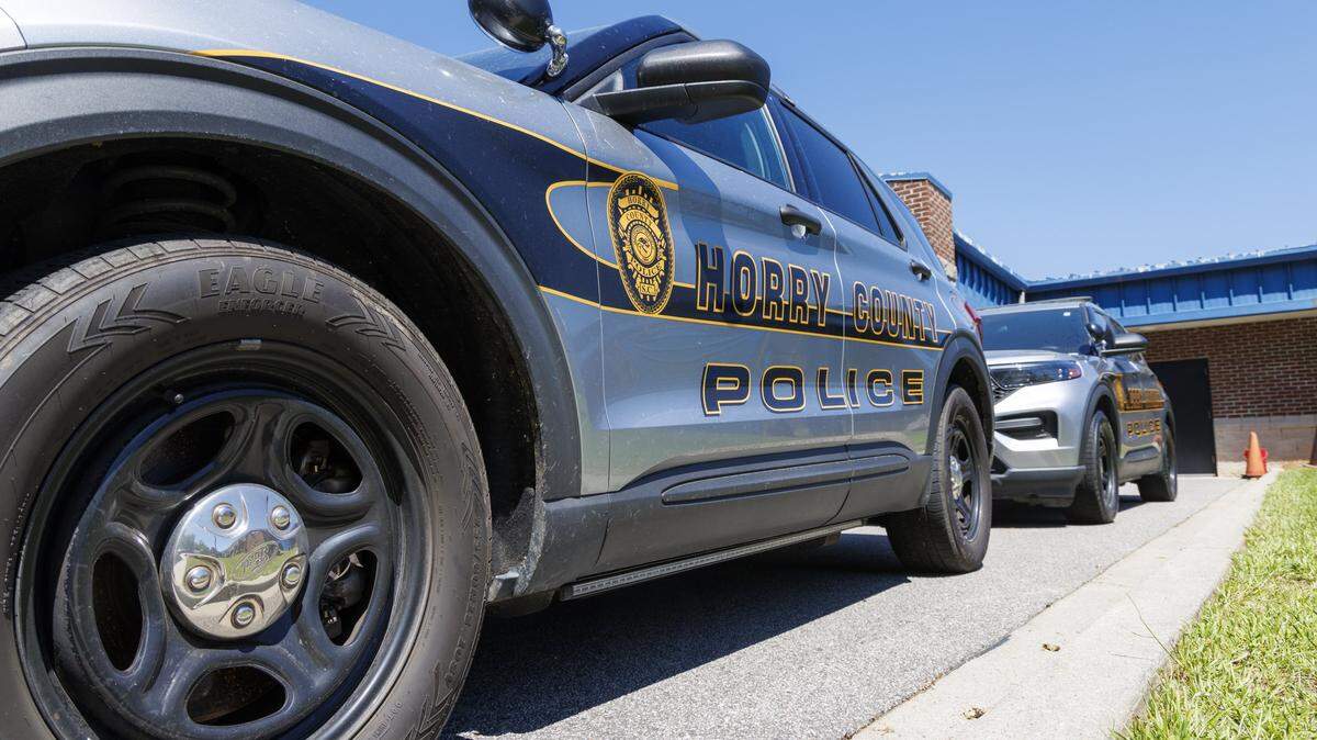 File art of Horry County Police at M.L. Brown Law Enforcement Center in Conway, SC. April 17, 2025.