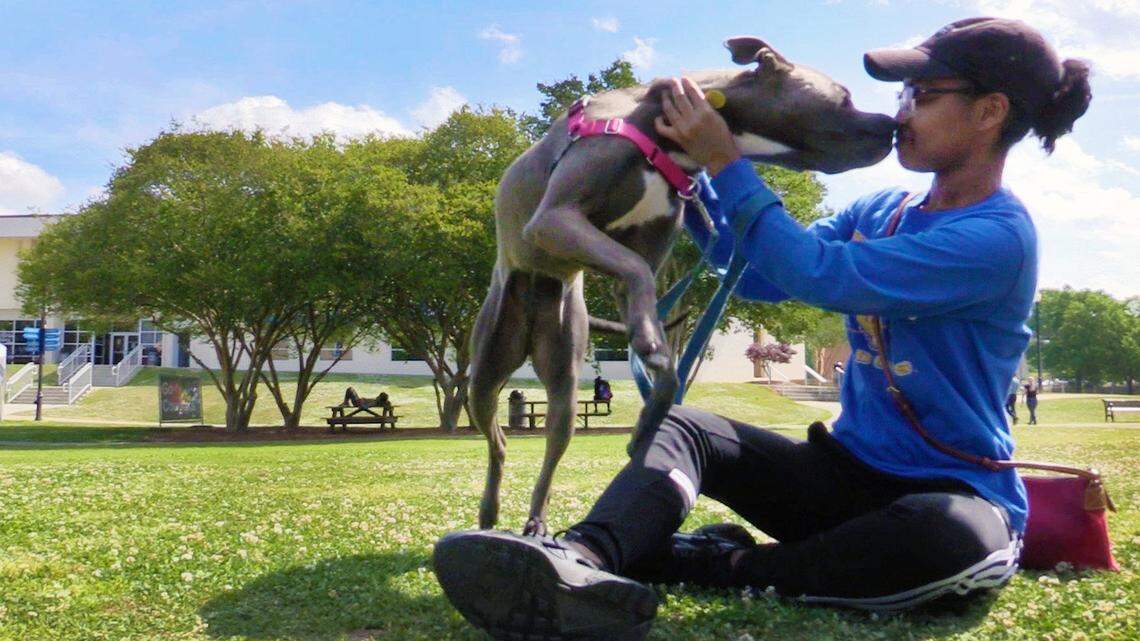 Nina Hale, a company based in Minneapolis, is now offering employees a new benefit called “fur-ternity leave.” - File photo