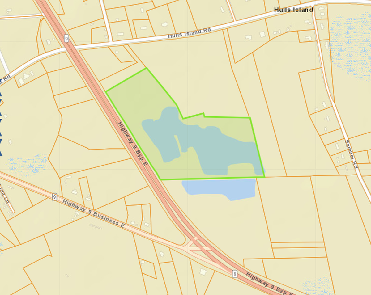 An image of the Horry County-owned property developer Bill Griste plans to purchase in coming months. Griste owns the adjacent property.