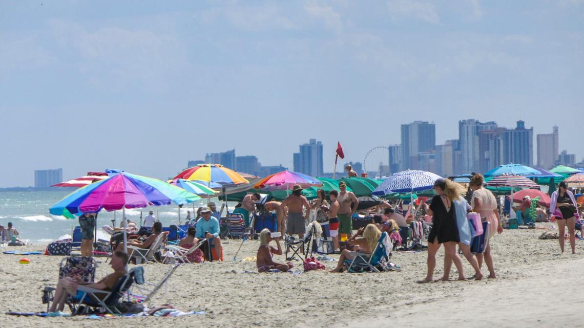 Could an umbrella prevented Myrtle Beach area beachgoer from being struck by police truck?