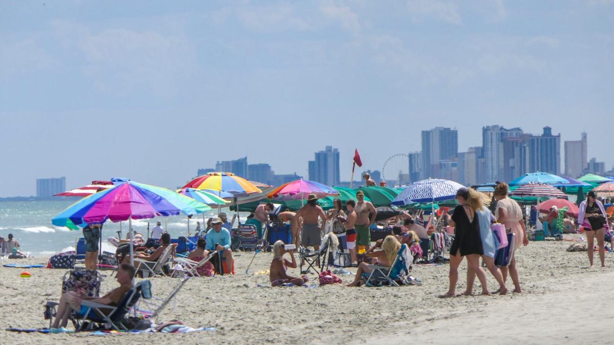 Looking North in the Shore Drive area of Horry County, hundreds of umbrellas cover sunbathers as the Myrtle Beach skyline shows in the background. May 29, 2024.