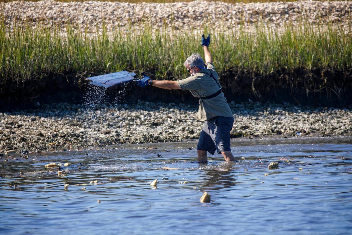 Whit Jones, a member of Wounded Nature Working Veterans, picks debris from the water as locale volunteers from Black Water Dredging lift portions of a sailboat out of the Calabash River. Abandoned boats litter the waterways throughout Horry County, S.C. The Department of Natural Resources is partnering non-profit conservation groups and local businesses to begin removing the derelict vessels from local waterways. Oct. 20, 2021.