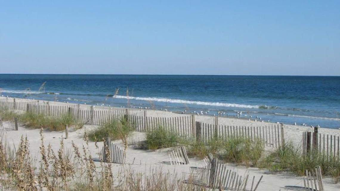 Together Grand Strand: Surfside restaurant to give free meals to community this week