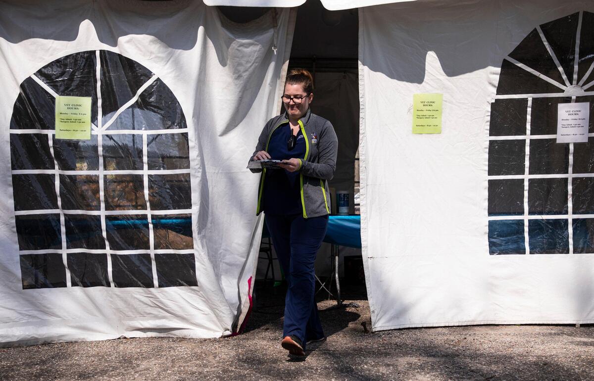 Katie Fitzpatrick, a veterinarian technician at Veterinary Clinic of Myrtle Beach works out of a tent used to triage animals in their parking lot. Local veterinarians are finding ways to treat animals while keeping their owners and staff safe during coronavirus outbreak. March 27, 2020.