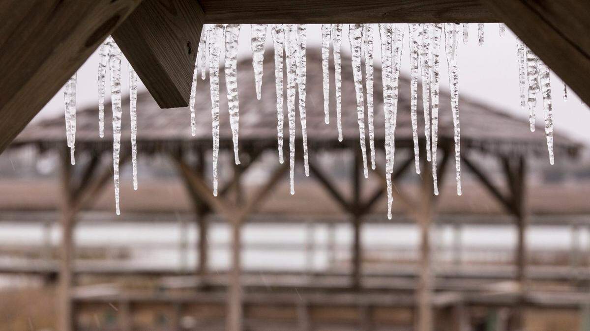 A dog is covered with ice in Pawley’s Island on Wednesday afternoon. Forecasters expect Winter Storm Grayson to drop up to four inches of snow and ice on the Grand Strand area on Wednesday evening. Jan. 3, 2018.