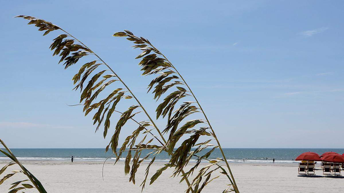 A person was reportedly bitten by a shark Wednesday, July 10, 2024, in the Grand Dunes area along North Ocean Boulevard.