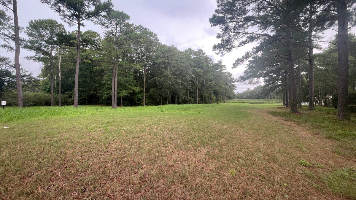 An overgrown tee box and fairway at the now-closed Indian Wells Golf Club in Garden City, SC. Despite closing in 2019 with plans for re-development, it’s unclear what the path forward is.