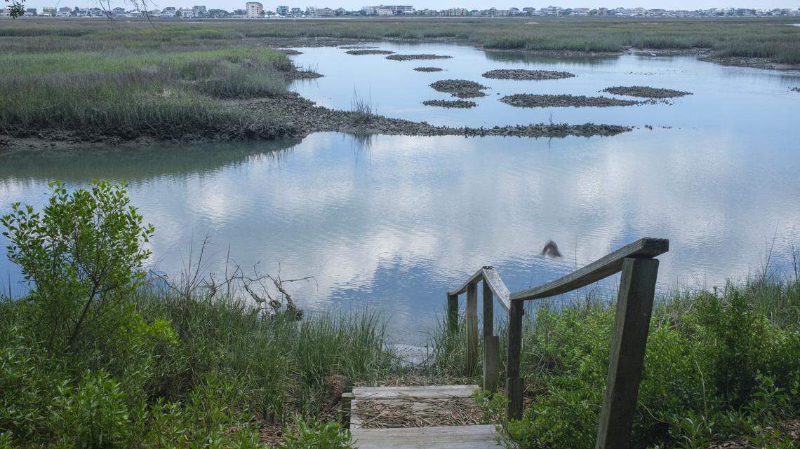 Murrells Inlet has grown immensely. How much more can the estuary take?