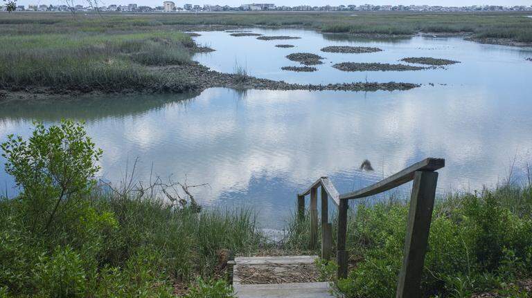 Murrells Inlet has grown immensely. How much more can the estuary take?