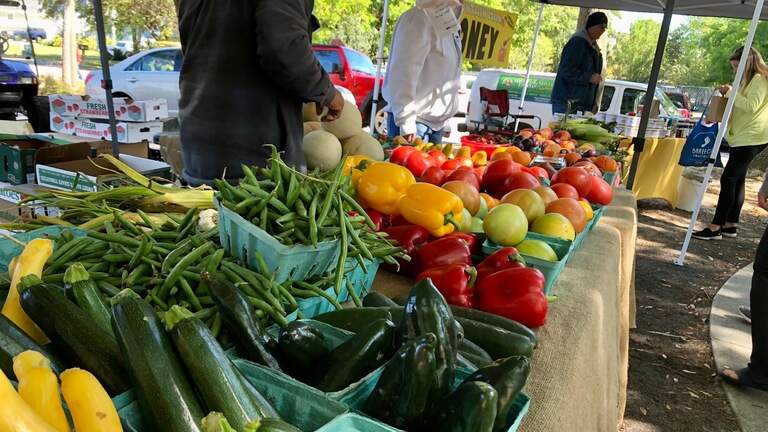 6 farmers markets in the Myrtle Beach area to feed your local shopping cravings this spring