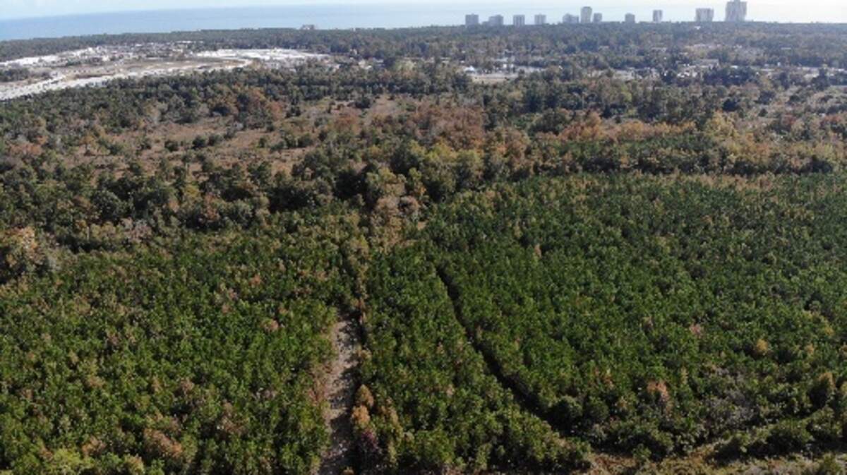A photo showing an aerial view of land Meritage Homes purchased, hoping to build new single-family homes.