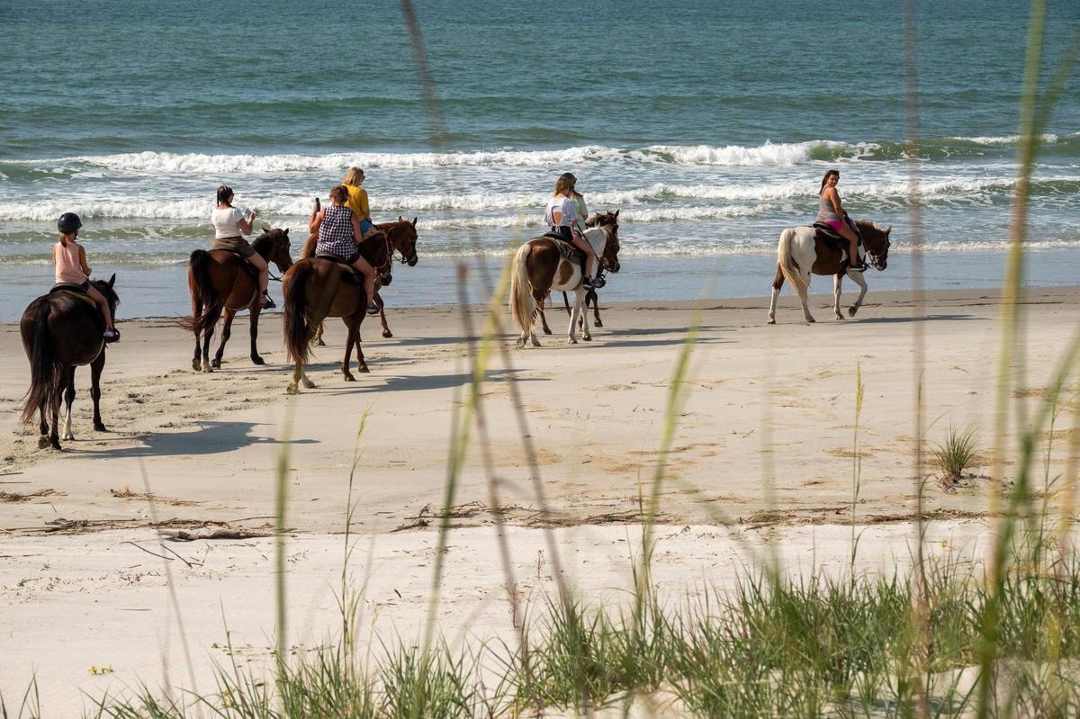 At Inlet Point Plantation visitors get the unique opportunity to ride on the beach at Waites Island. June 16, 2022.