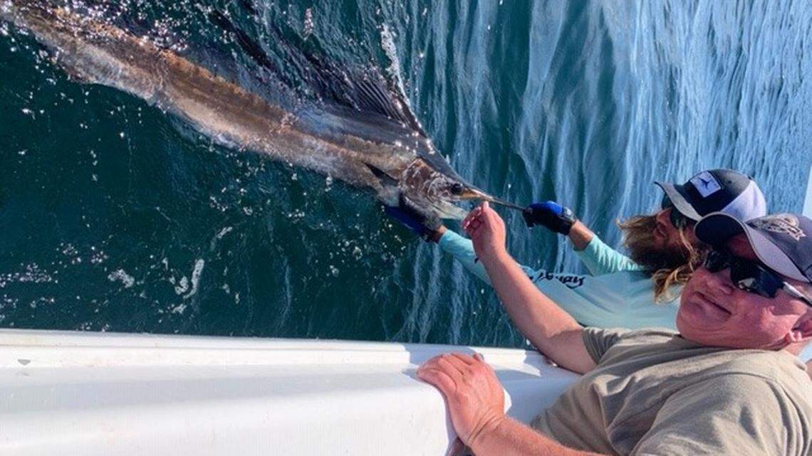 Surprise in 60 feet: Sailfish shows up near Murrells Inlet
