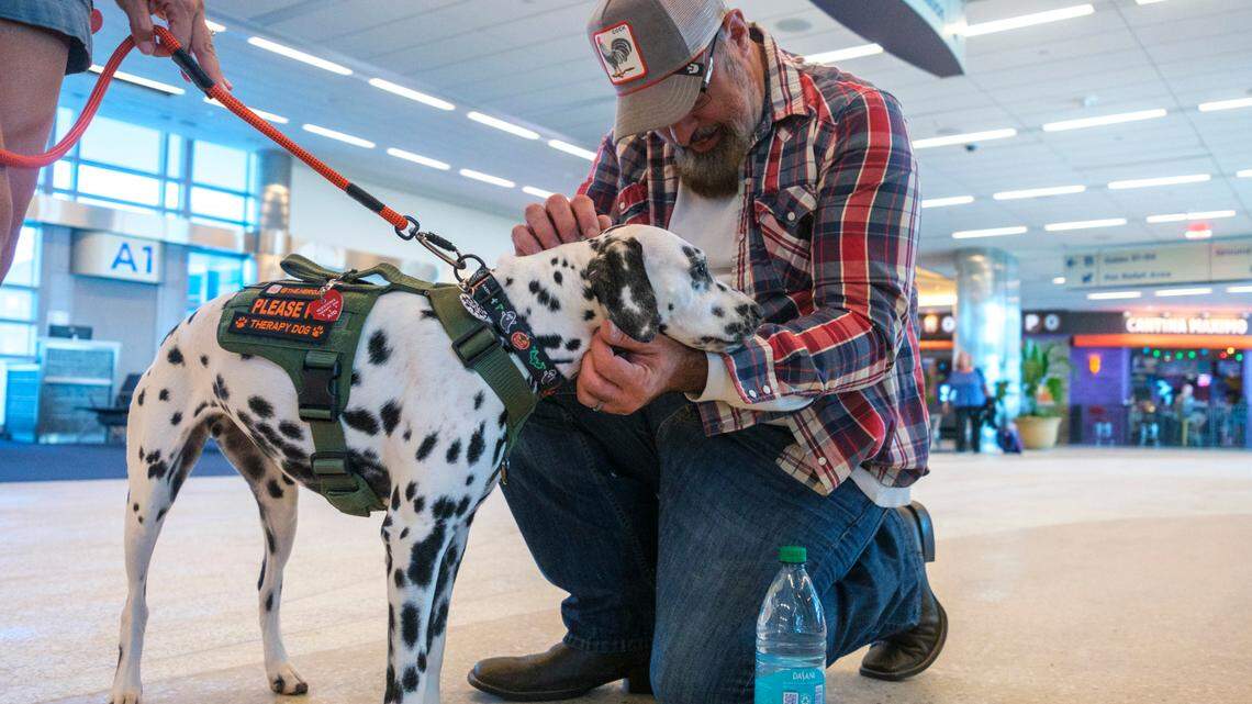 Worried about flying? How a therapy dog on Instagram helps at the Myrtle Beach airport