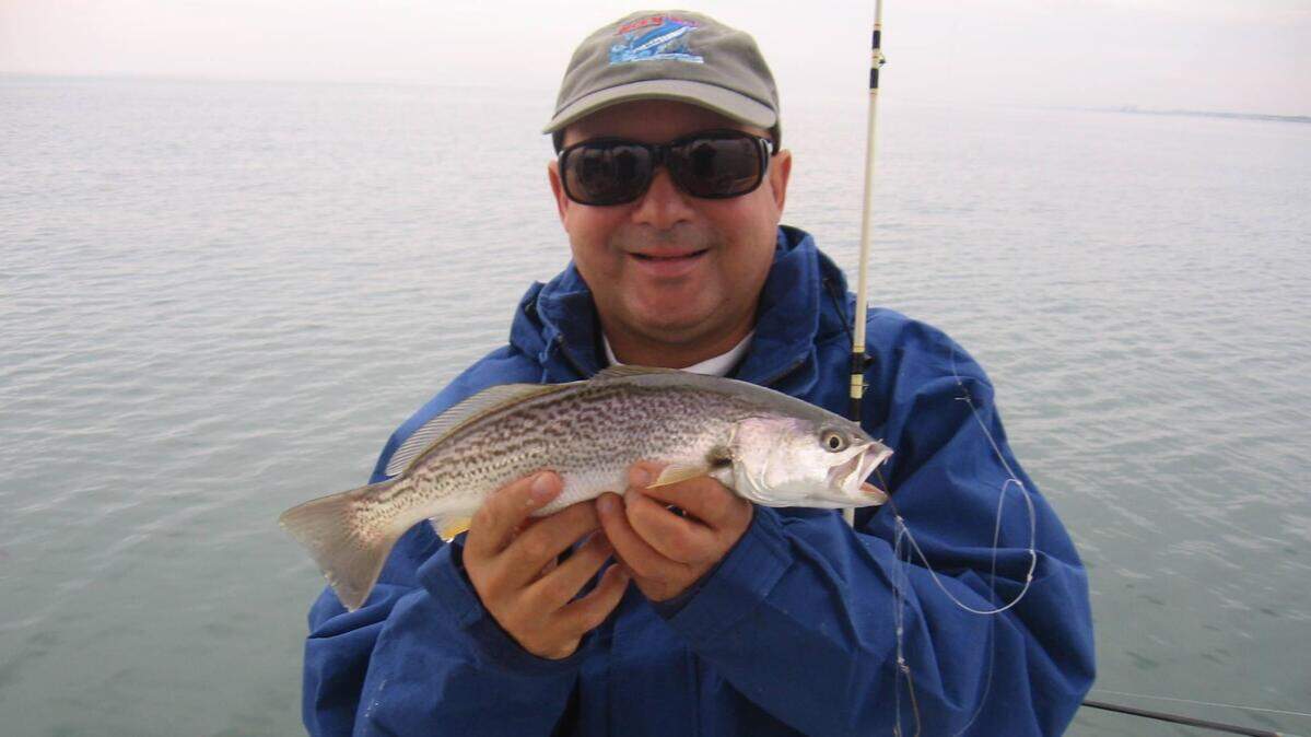 Weakfish, also known as summer trout, have arrived for the autumn on near-shore bottom spots along the Grand Strand.