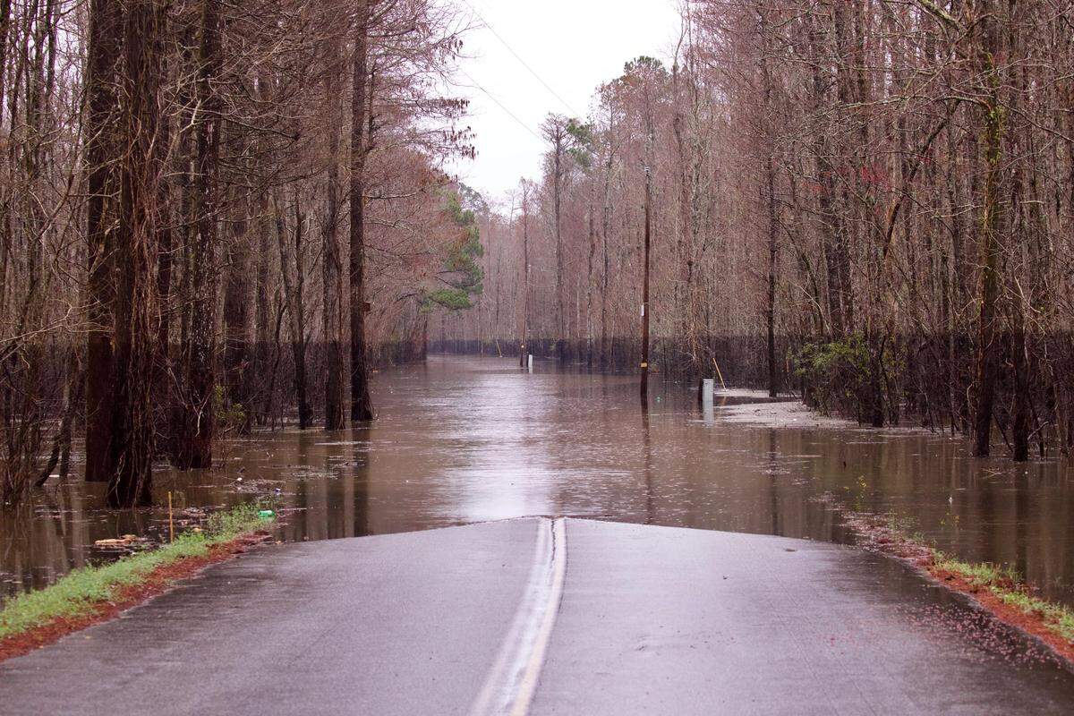 The flood line for 2018’s Hurricane Florence can still be seen above Feb. 19’s rising flood waters at Bucksville Landing outside Conway, South Carolina.