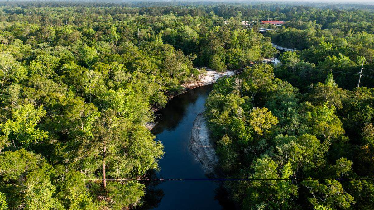 The Nature Conservancy South Carolina acquired over 4,600 acres of former timber properties in Horry County for future public use. TNC plans to add the land to South Carolina Department of Natural Resources Heritage Preserve program, pending state approval.