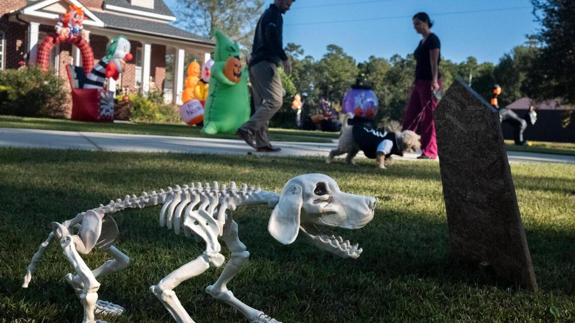 Scarecrow making to bar hopping. 5 Halloween events in Myrtle Beach, SC for October 2023