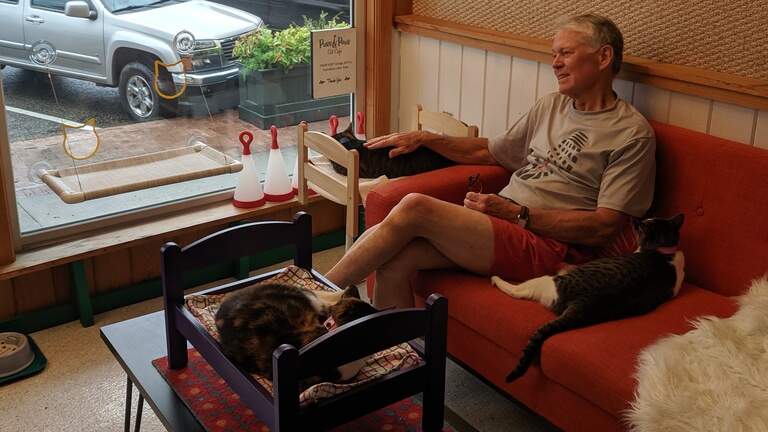 Purrrfectly calm: Georgetown residents don’t heed warnings, ready to ride out Dorian