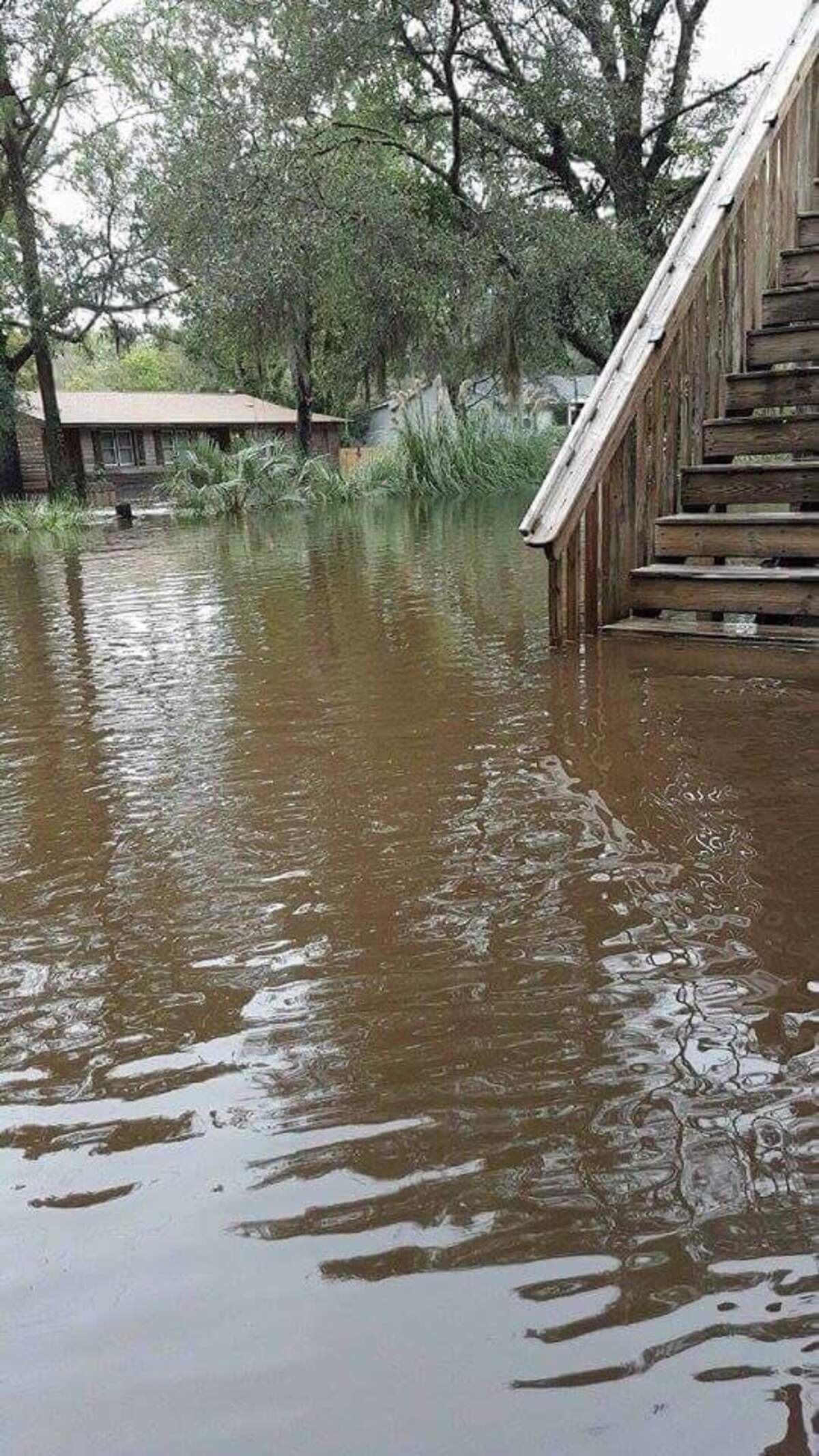 Emy Chamberlain’s yard flooded after Hurricane Matthew hit in 2016.