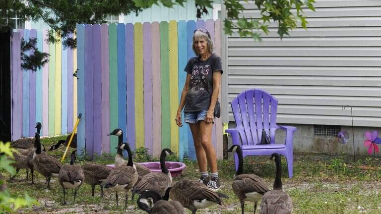 Why are Surfside Beach ‘goose whisperer’ and ‘Goose Man’ feuding on video?