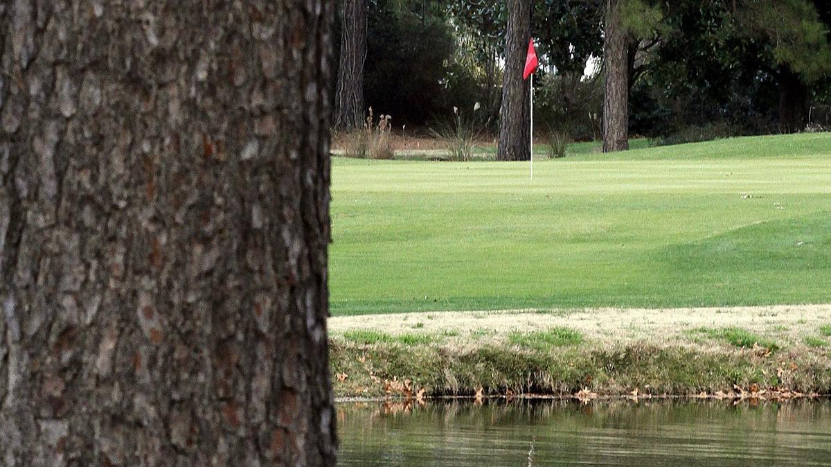Beachwood Golf Club in North Myrtle Beach features a lot of mature trees, as seen in this 2014 photo.