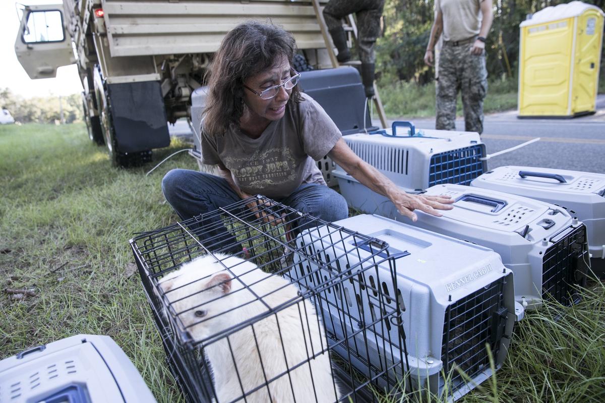 Lenore Letellier weeps over her twelve cats that were brought out of her flooded home on Lee’s Landing Circle on Tuesday. A joint effort by the Horry County Environmental Services, the Humane Society of the United States and the state National Guard lead to dozens of animal rescues in the rising flood waters. September 18, 2018.