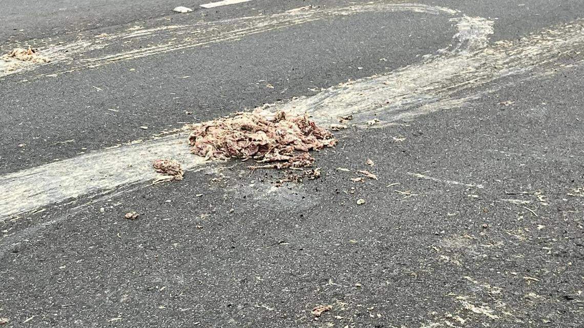 Greasy, cooked chicken blocking traffic on 501 in Carolina Forest. How’s it being cleaned