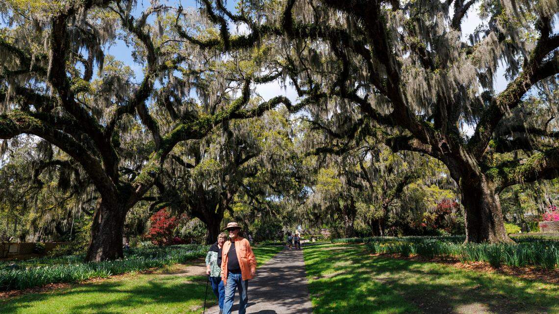Out & About: Take a stroll through Brookgreen Gardens. Why it’s a top attraction