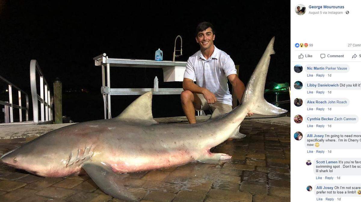 A screenshot from George Mourounas’ Facebook page showing a shark he caught in Cherry Grove.