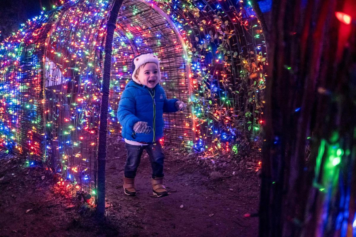 A child passes through a tunnel of lights in the Children’s Garden. Nights of a Thousand candles at Brookgreen Gardens in Murrells Inlet is in its 24th year and is one of the south’s most celebrated holiday destinations. Three thousand candles are lit each night and there are over 180,000 lights hanging from the trees in Oak Allee alone. More than 80,000 tickets have been sold to this year’s events. Nov. 30, 2023.
