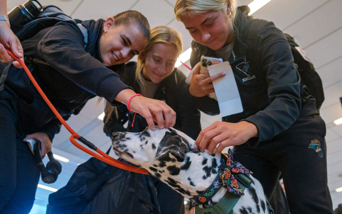 Monica Callahan takes her therapy dog, Orio, a 6-year-old dalmatian, to interact with passengers at the Myrtle Beach International Airport. The pair visit the airport about once a week to help relieve the stress associated with traveling. Oct. 22, 2024.