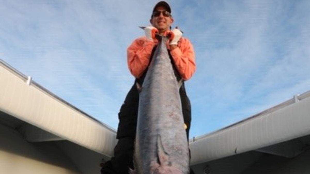 Dr. Jason Rosenberg of Painkiller shows off a 75-pound wahoo caught Thursday out of Murrells Inlet.